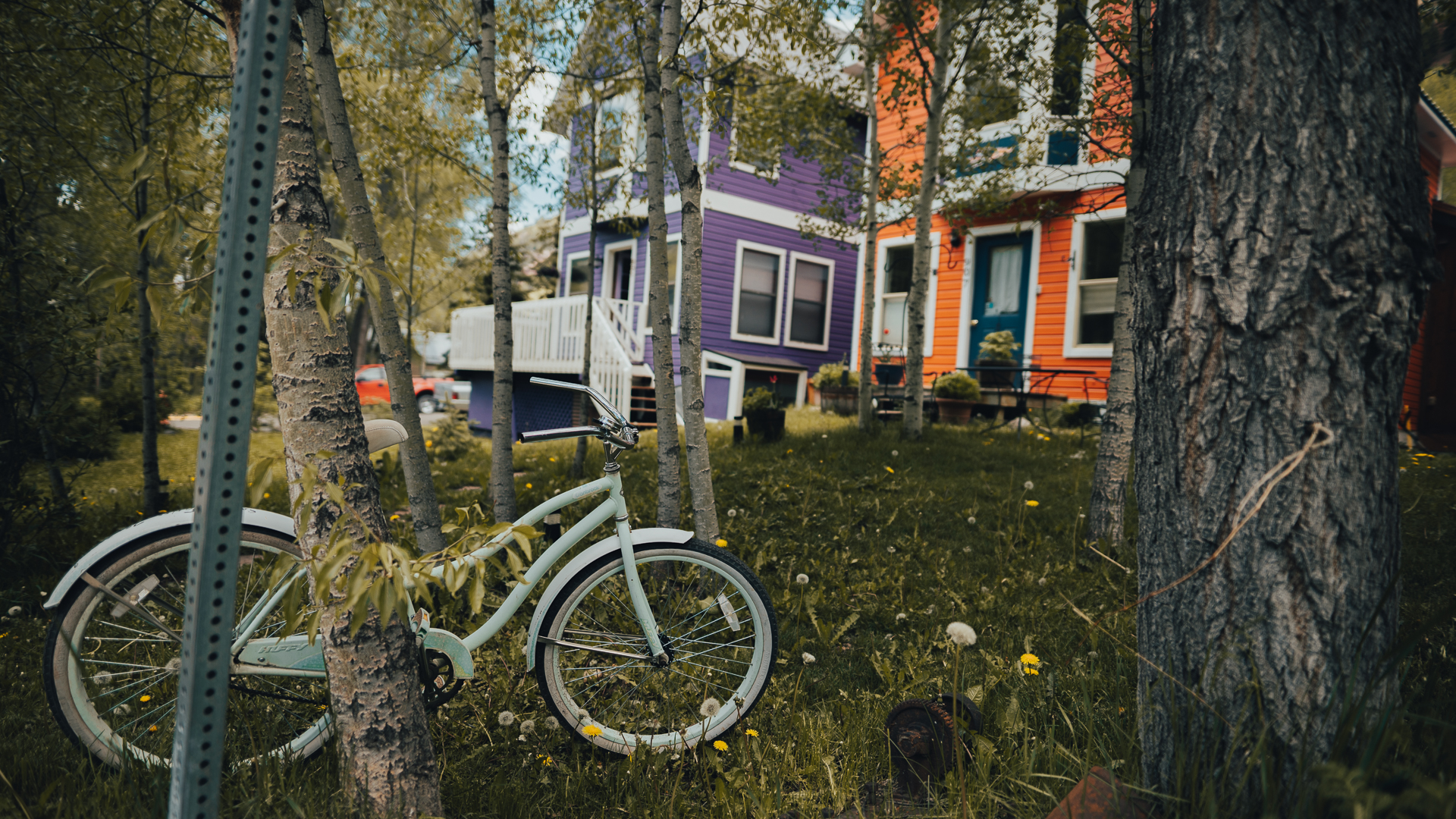 Colorful Telluride homes with a cruiser bike under aspen trees